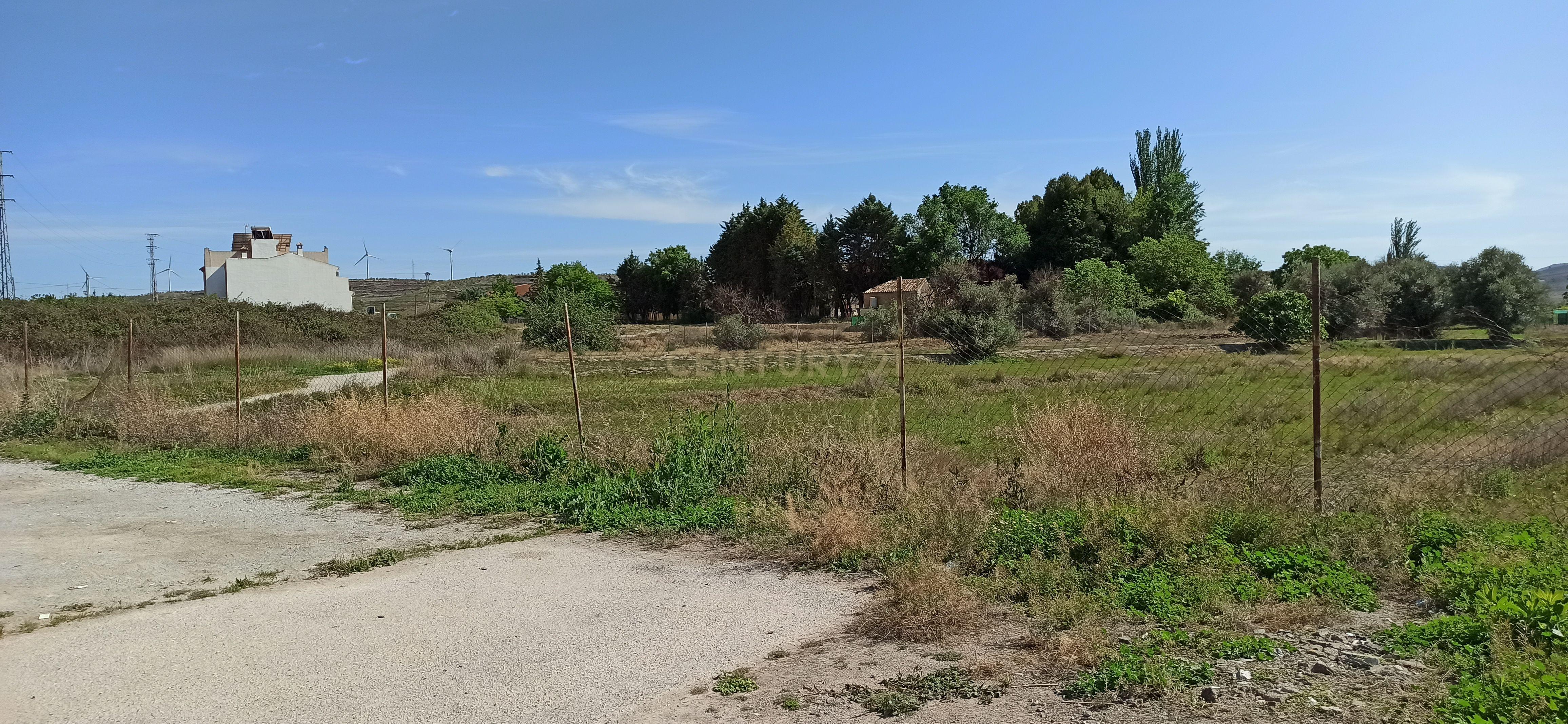 undefined - Image 11