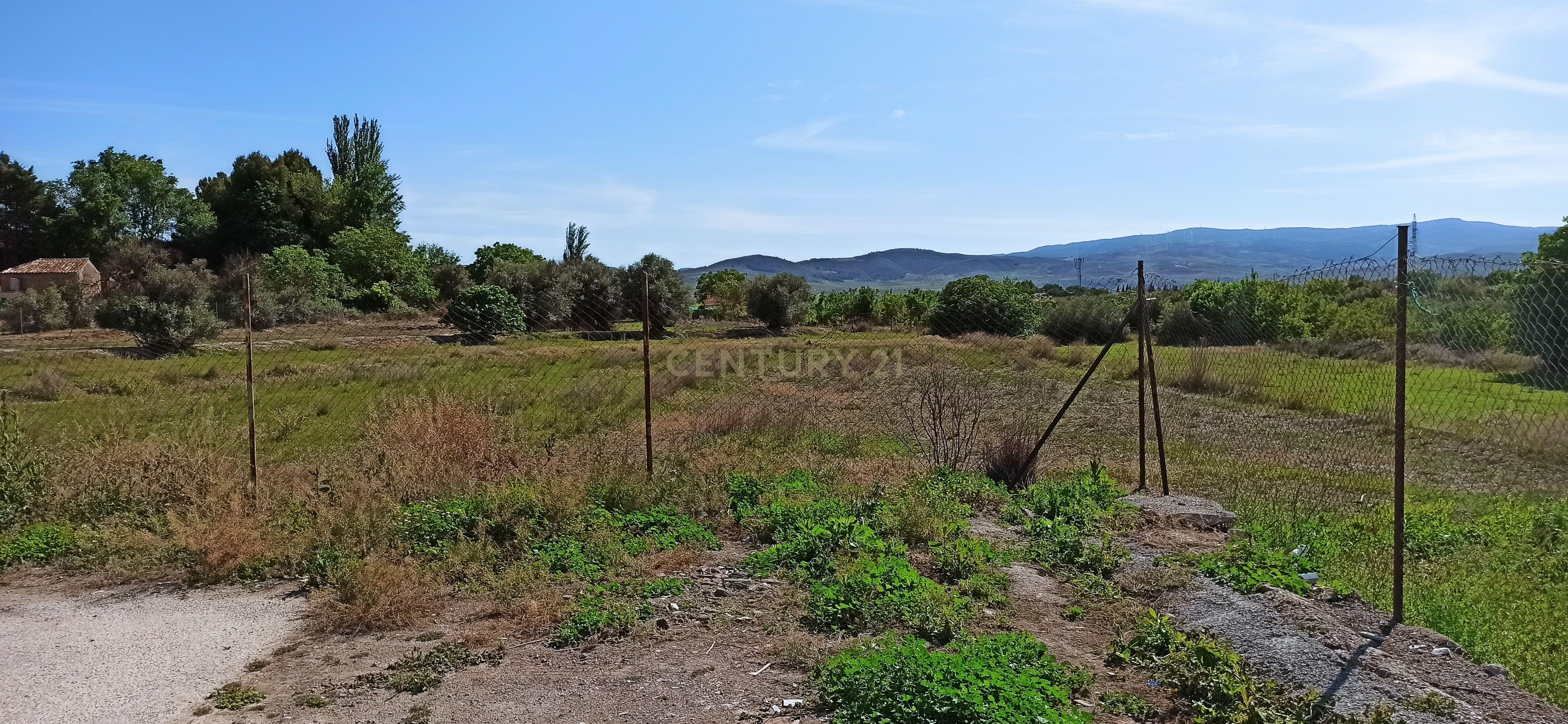 undefined - Image 12