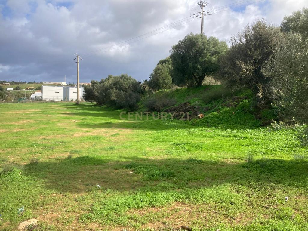 Terreno Urbano na Penina (Alvor) - Image 13