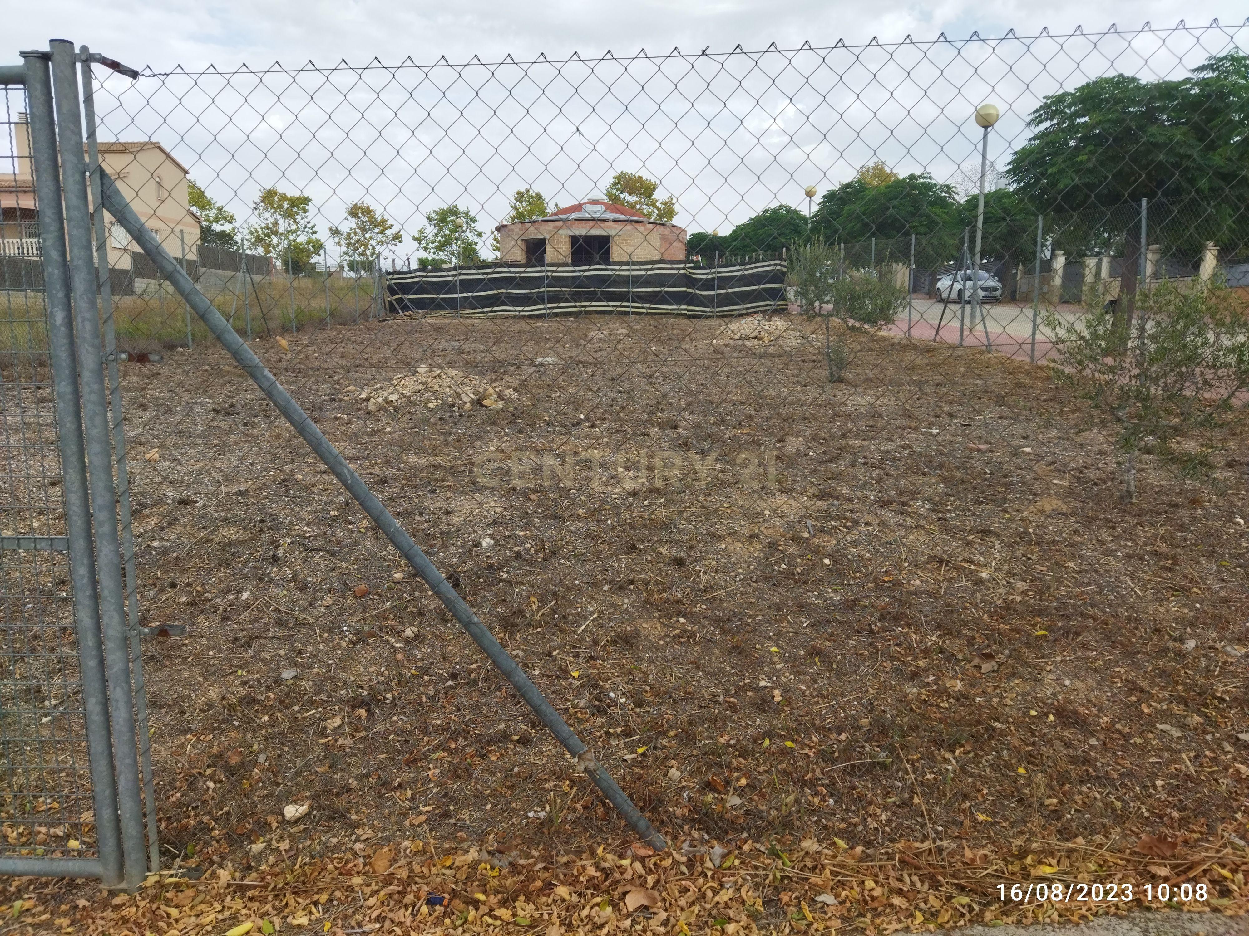 undefined - Image 5