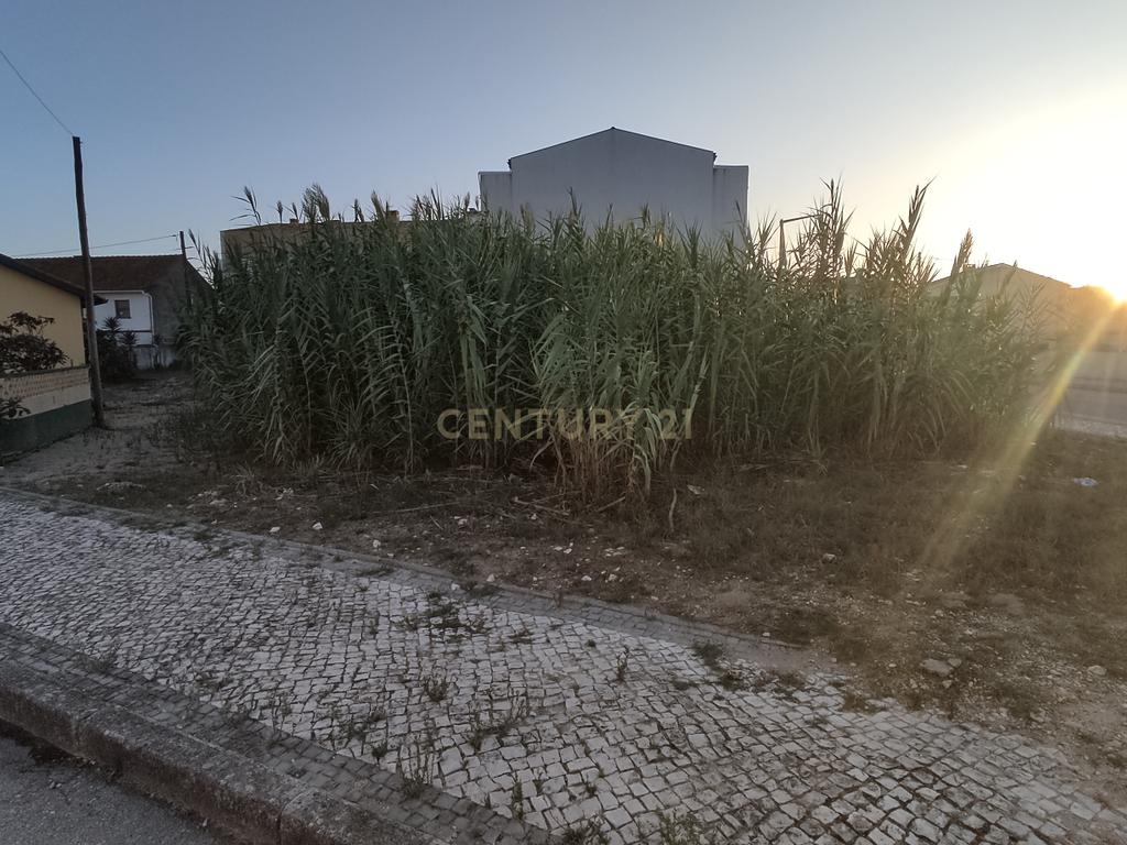 Terreno com capacidade de construção em altura, próximo da praia da Cova, Gala, Figueira da Foz. - Image 3