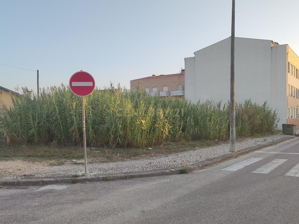 Terreno com capacidade de construção em altura, próximo da praia da Cova, Gala, Figueira da Foz. - Image 4