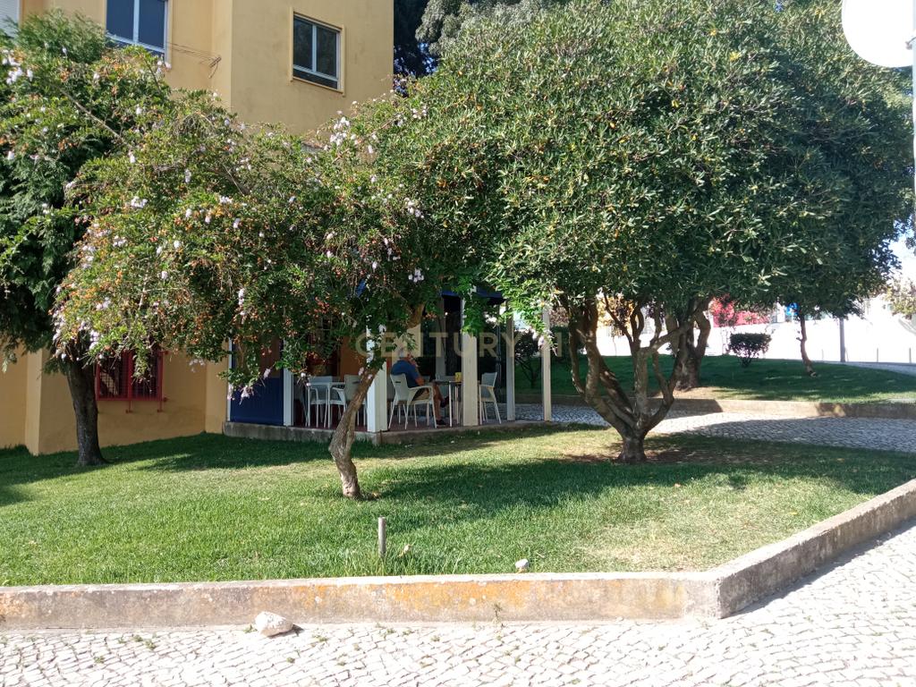 INVESTIDOR - Trespasse de Pastelaria e cafetaria em pleno funcionamento em Queijas - Image 8