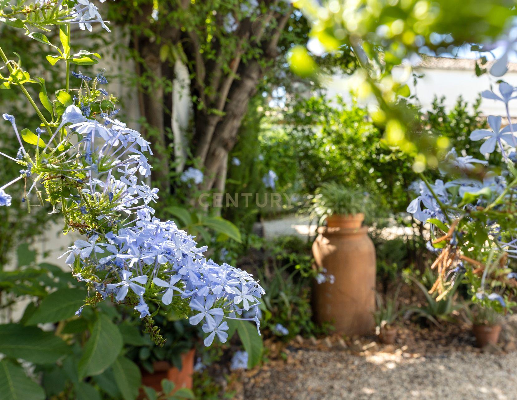 undefined - Image 30