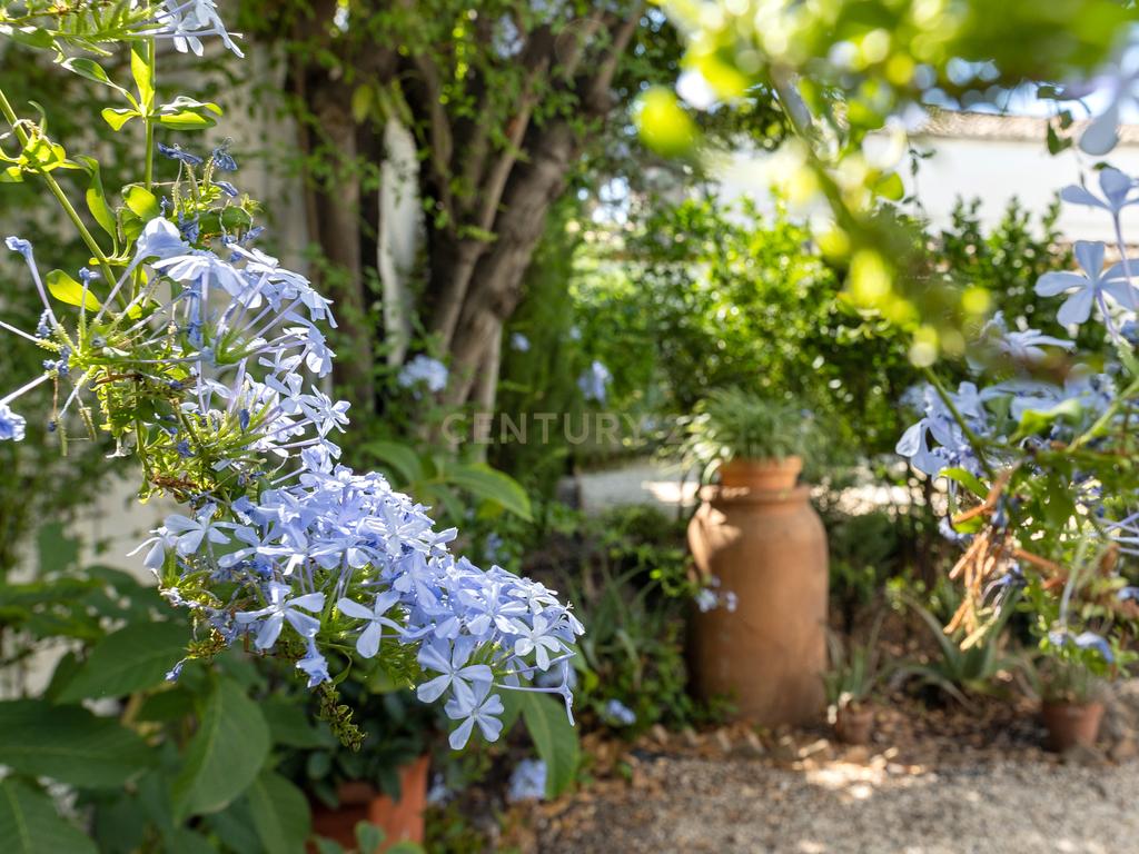 undefined - Image 30