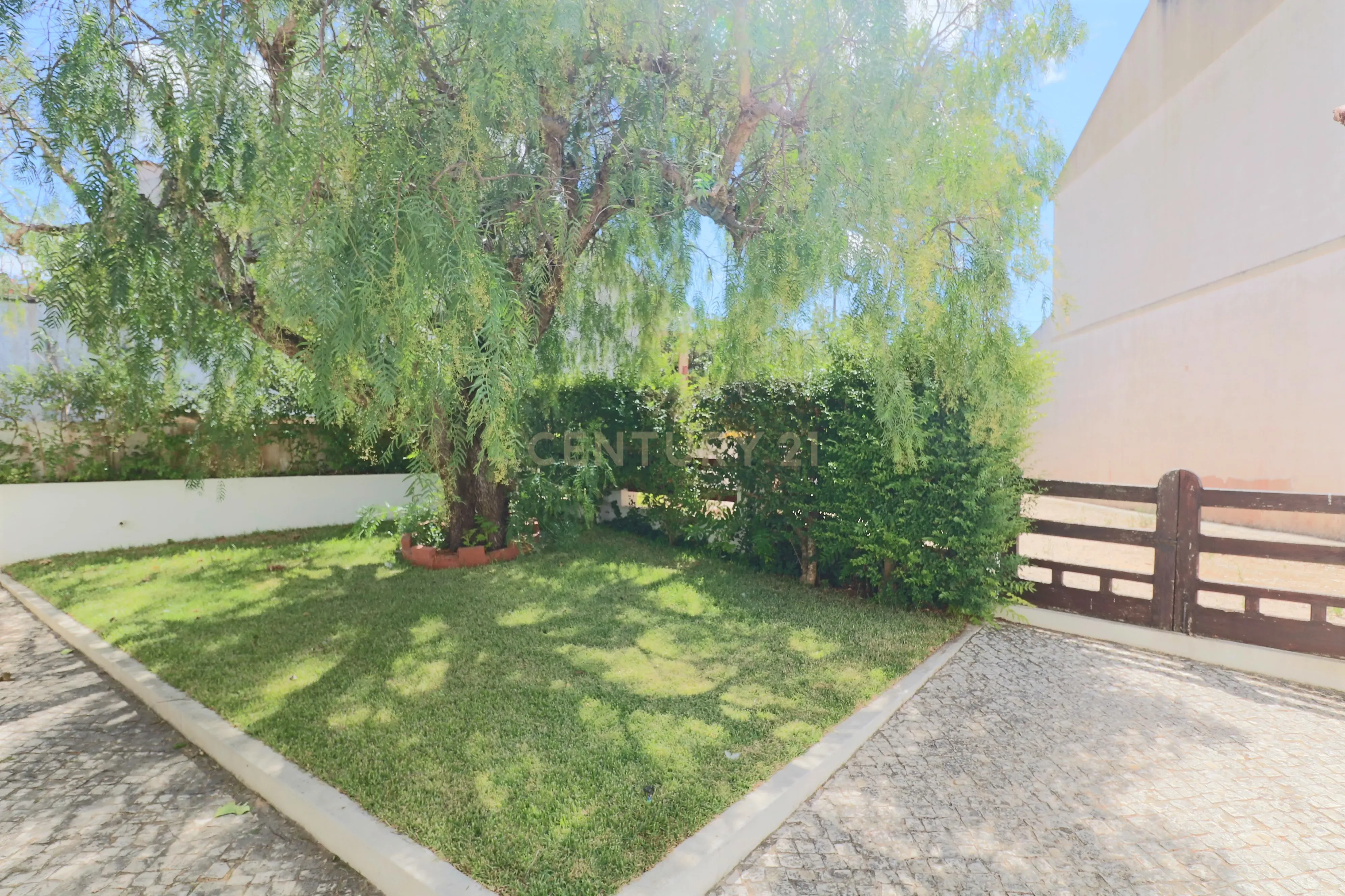 Fantástica Quintinha com 3 Casas de Habitação - Image 17