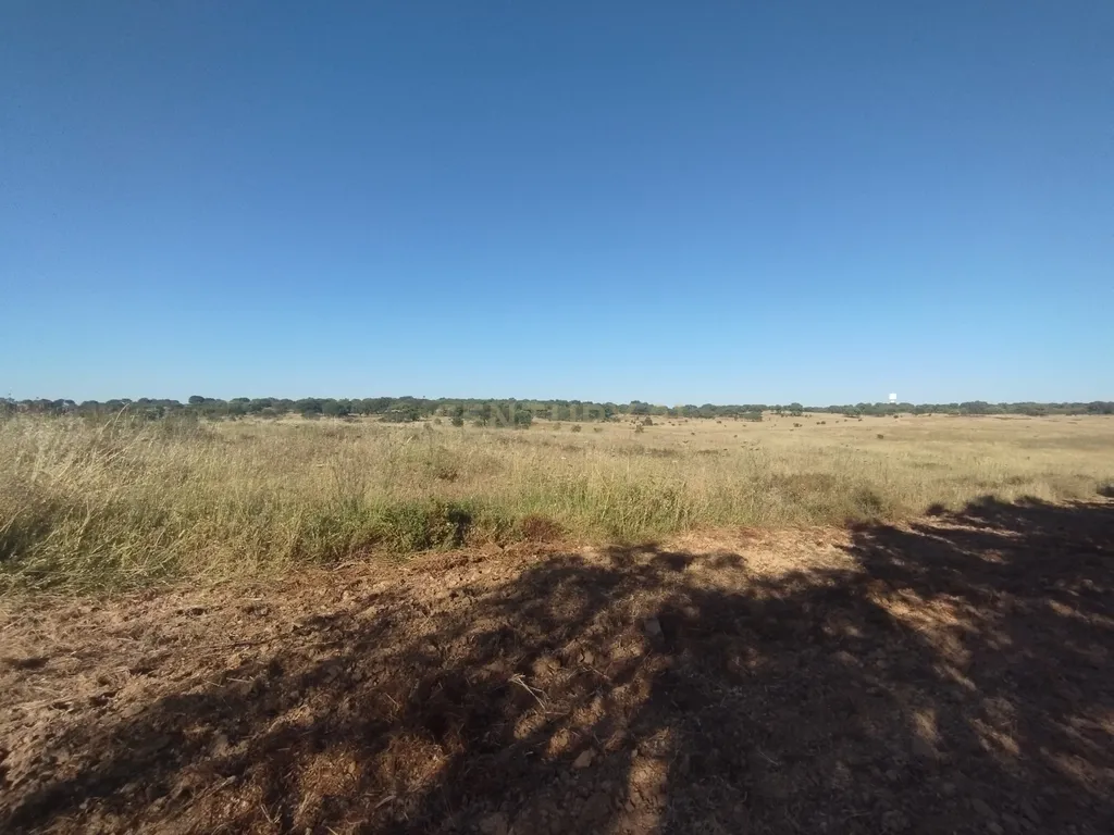 Propriedade com mais de 18 hectares de terreno rústico, localizado no Baixo Alentejo, concelho de Almodôvar - Image 11