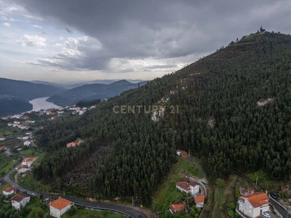 Terreno para Construção com Projeto Turístico e Vista Rio Douro – Castelo de Paiva - Image 7