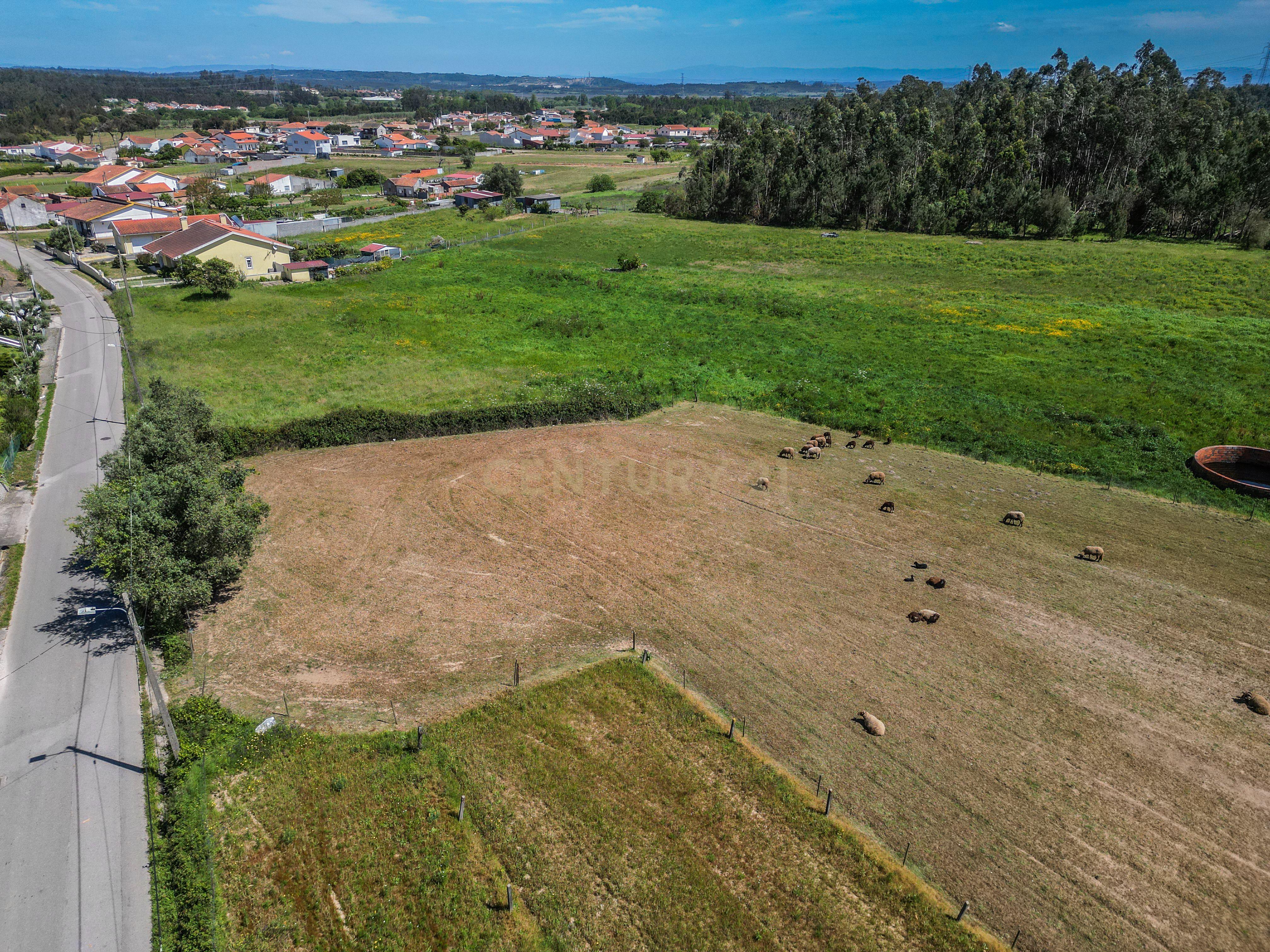 Fotografia 8 de Terreno com viabilidade de construção nas Alhadas, Figueira da Foz