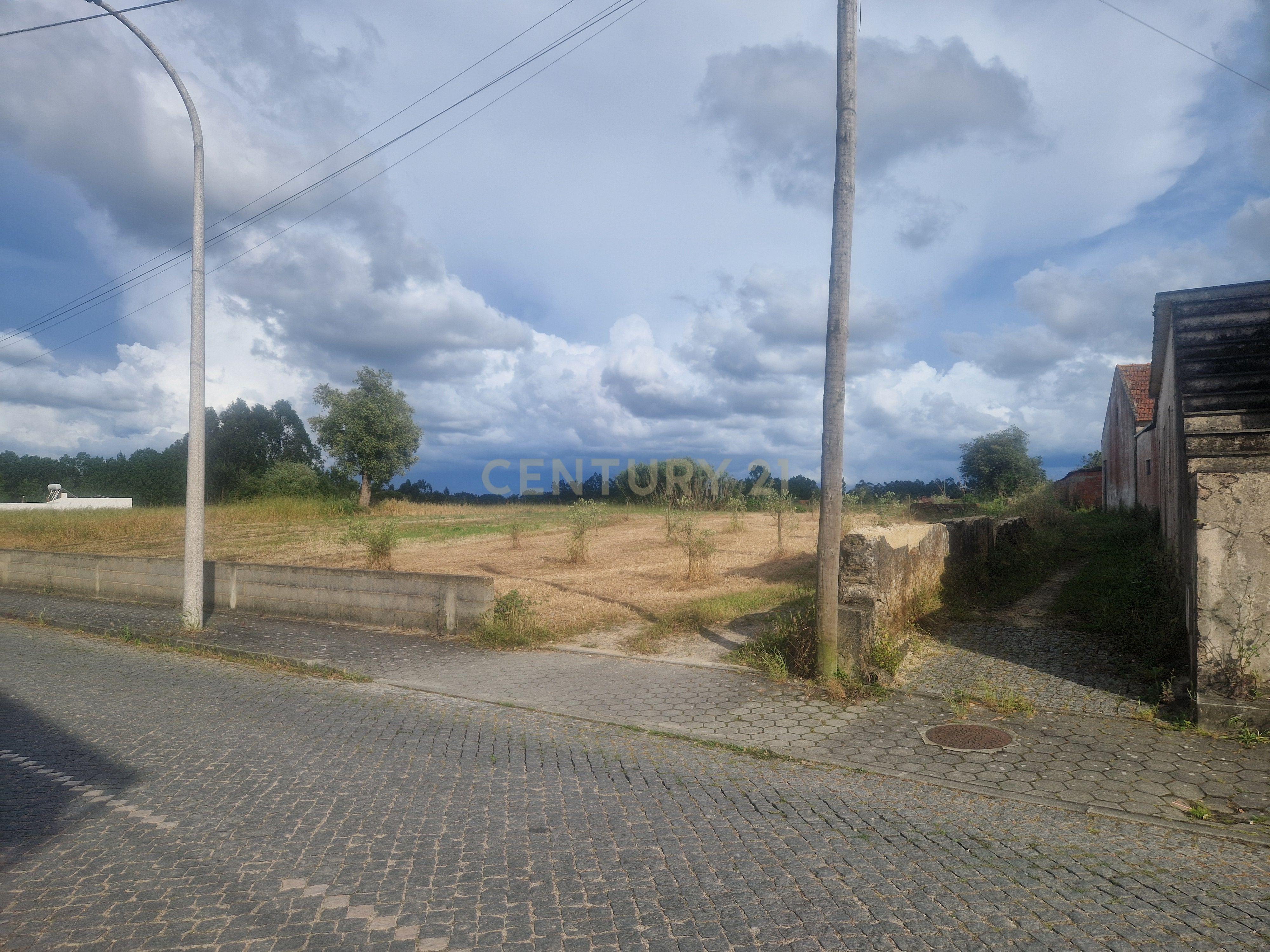 Fotografia 4 de Terreno Urbano em Vagos - 3590m²
