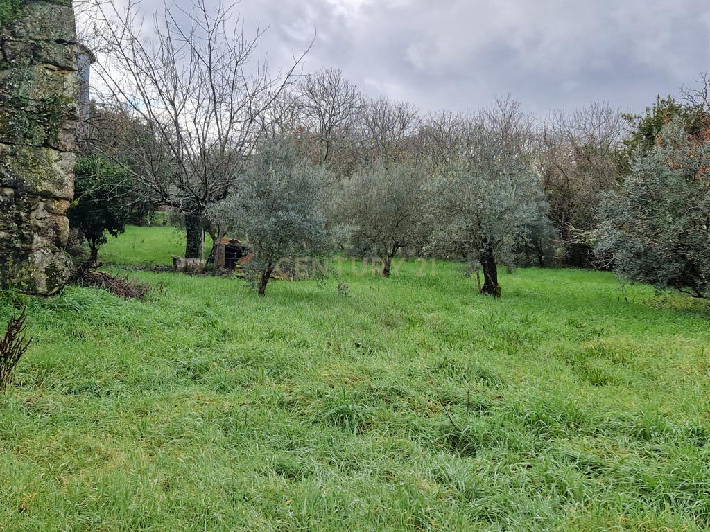 Moradia para reconstrução - Image 8