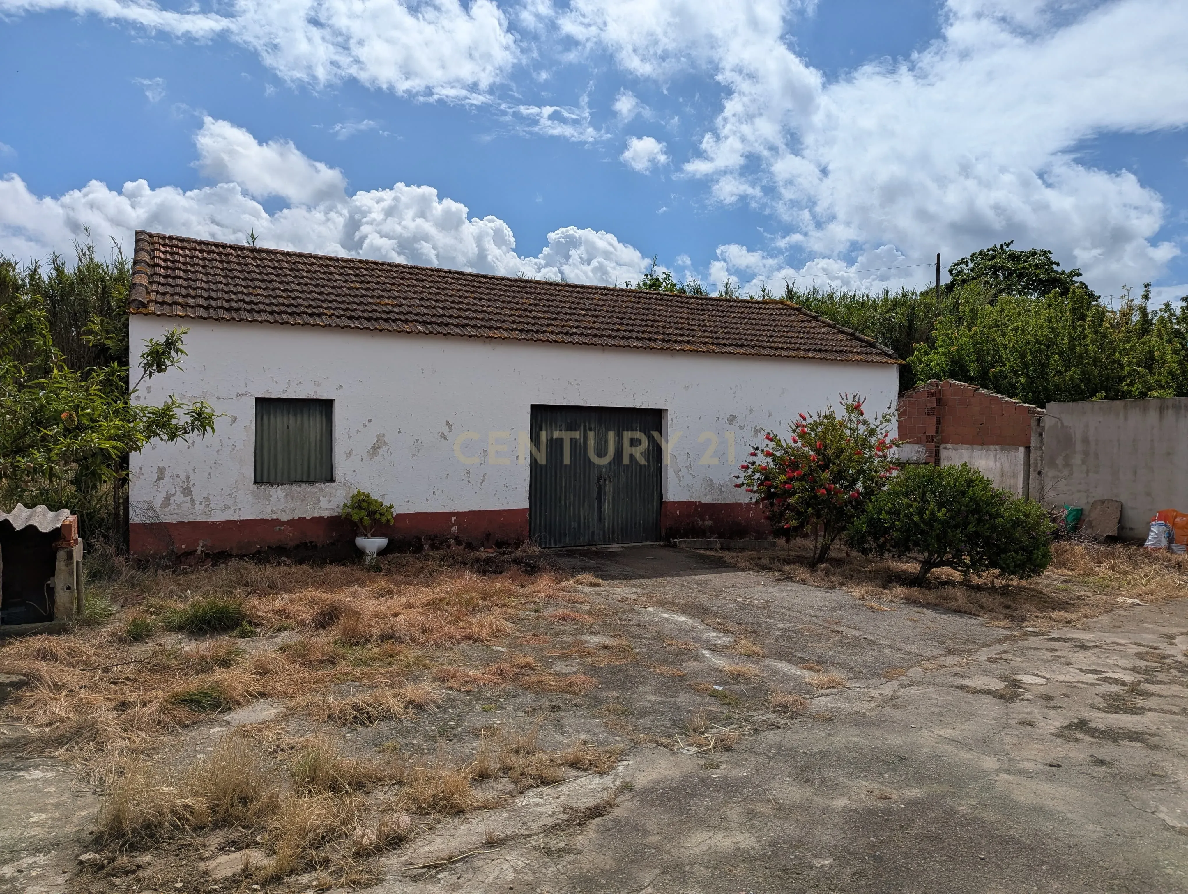 Moradia com Terreno e Anexos no Sobral do Parelhão – Bombarral - Image 38