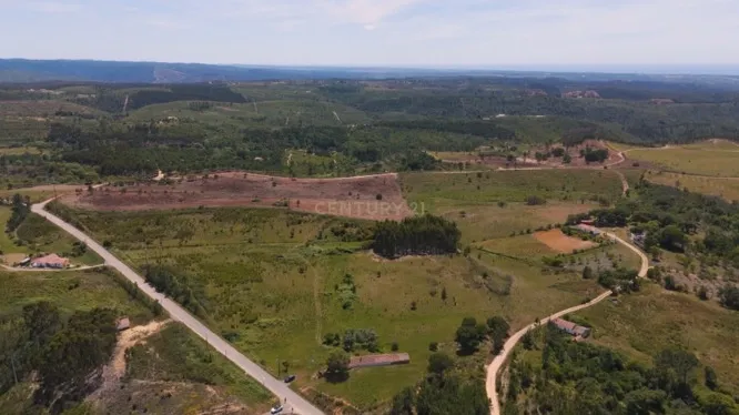 Monte com 6 Hectares e Projeto de Ampliação em São Teotónio - Image 4