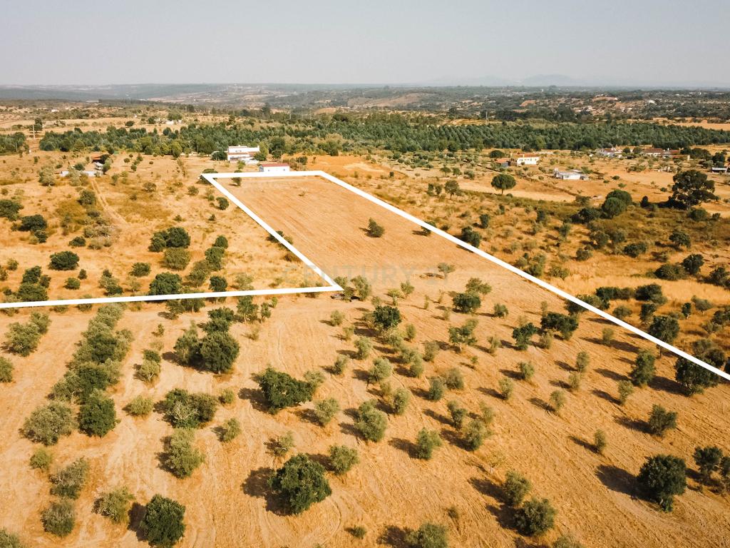 Propriedade rústica com potencial agrícola, habitacional e turístico – 3,12 hectares – Nisa - Image 10