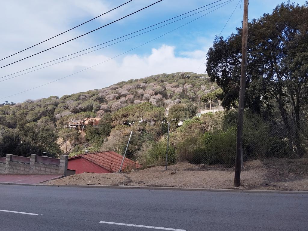 Terreno - Image 7