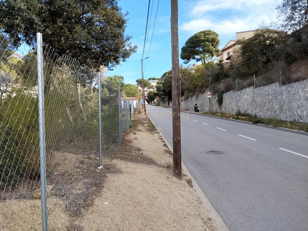 Terreno - Image 10