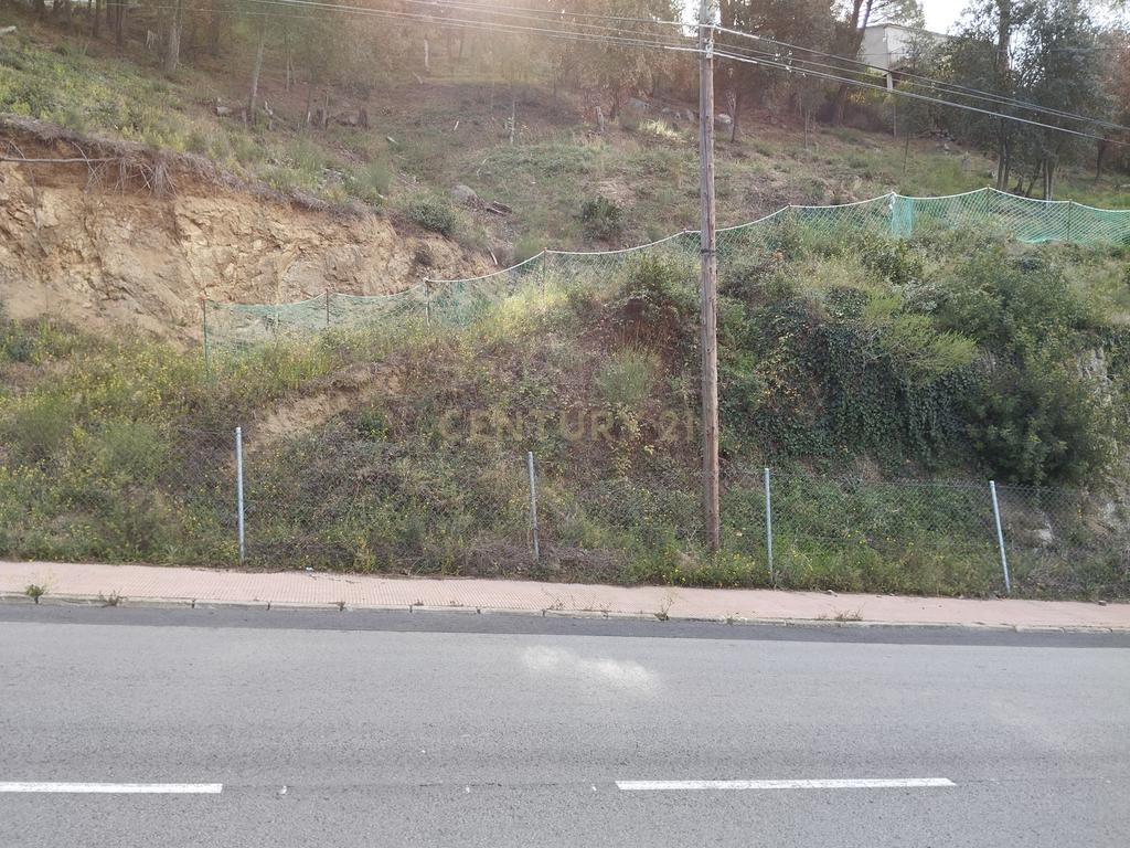 Terreno - Image 6