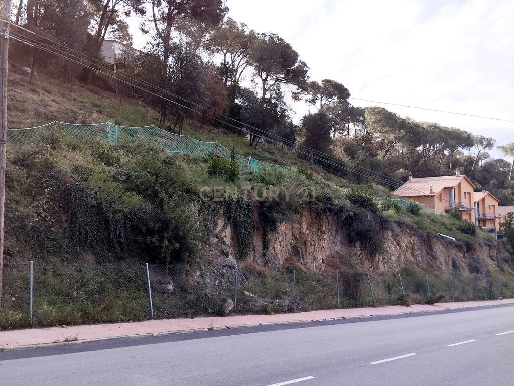 Terreno - Image 5