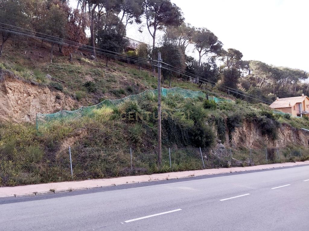 Terreno - Image 4