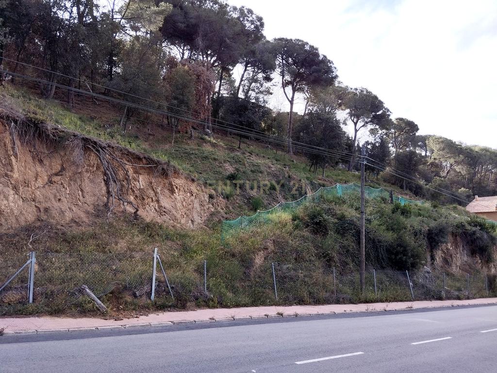 Terreno - Image 2