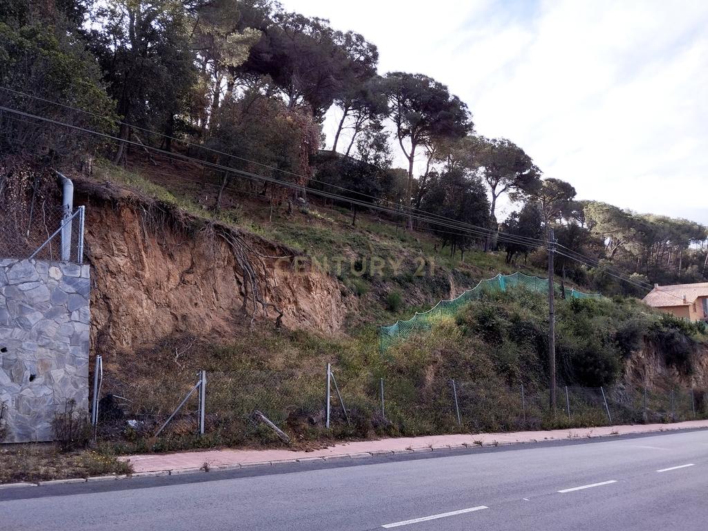 Terreno - Image 3