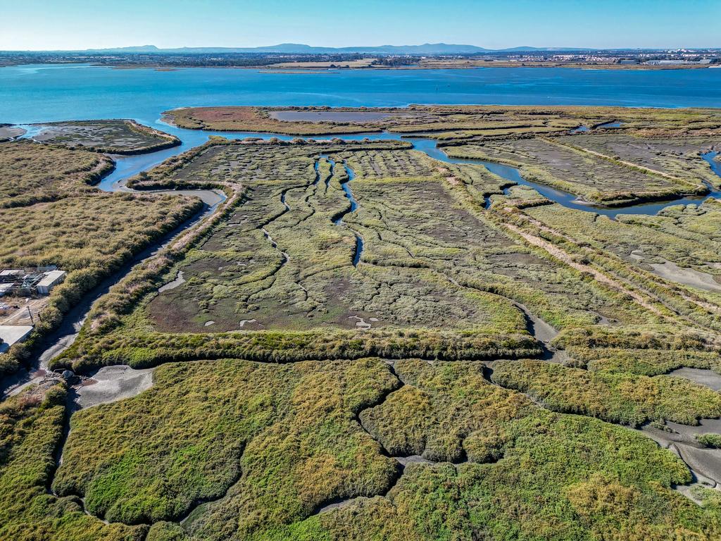 Terreno 20,18ha, Montijo - Seixalinho, para actividades de piscicultura e agricultura - Image 24
