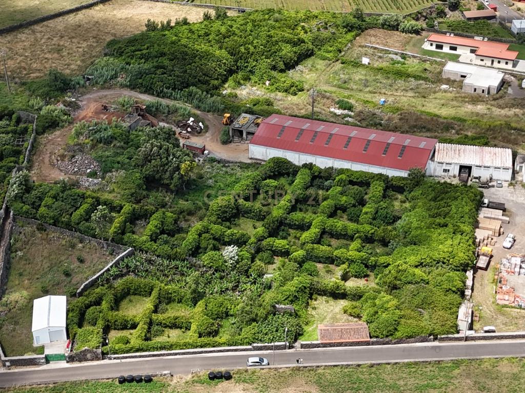 Fantástica quinta com área total de 2541m2, ilha Graciosa - Image 2