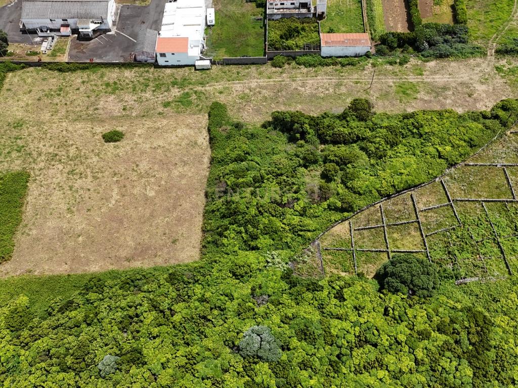 Terreno agrícola com 26.136m2 - Image 2