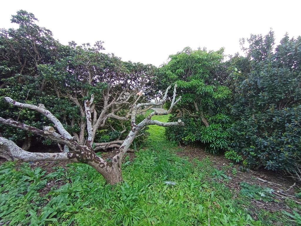 Fantástica quinta com área total de 2541m2, ilha Graciosa - Image 11