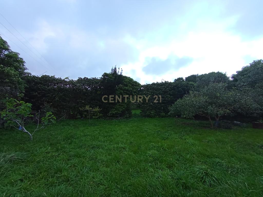 Fantástica quinta com área total de 2541m2, ilha Graciosa - Image 7