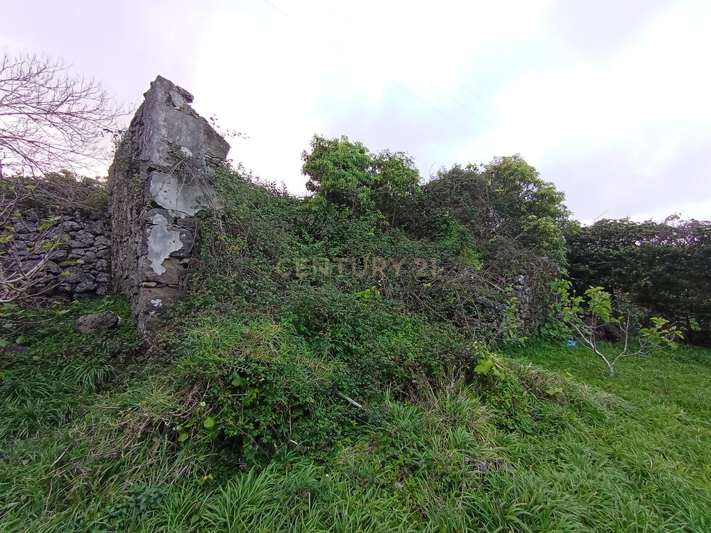 Fantástica quinta com área total de 2541m2, ilha Graciosa - Image 6