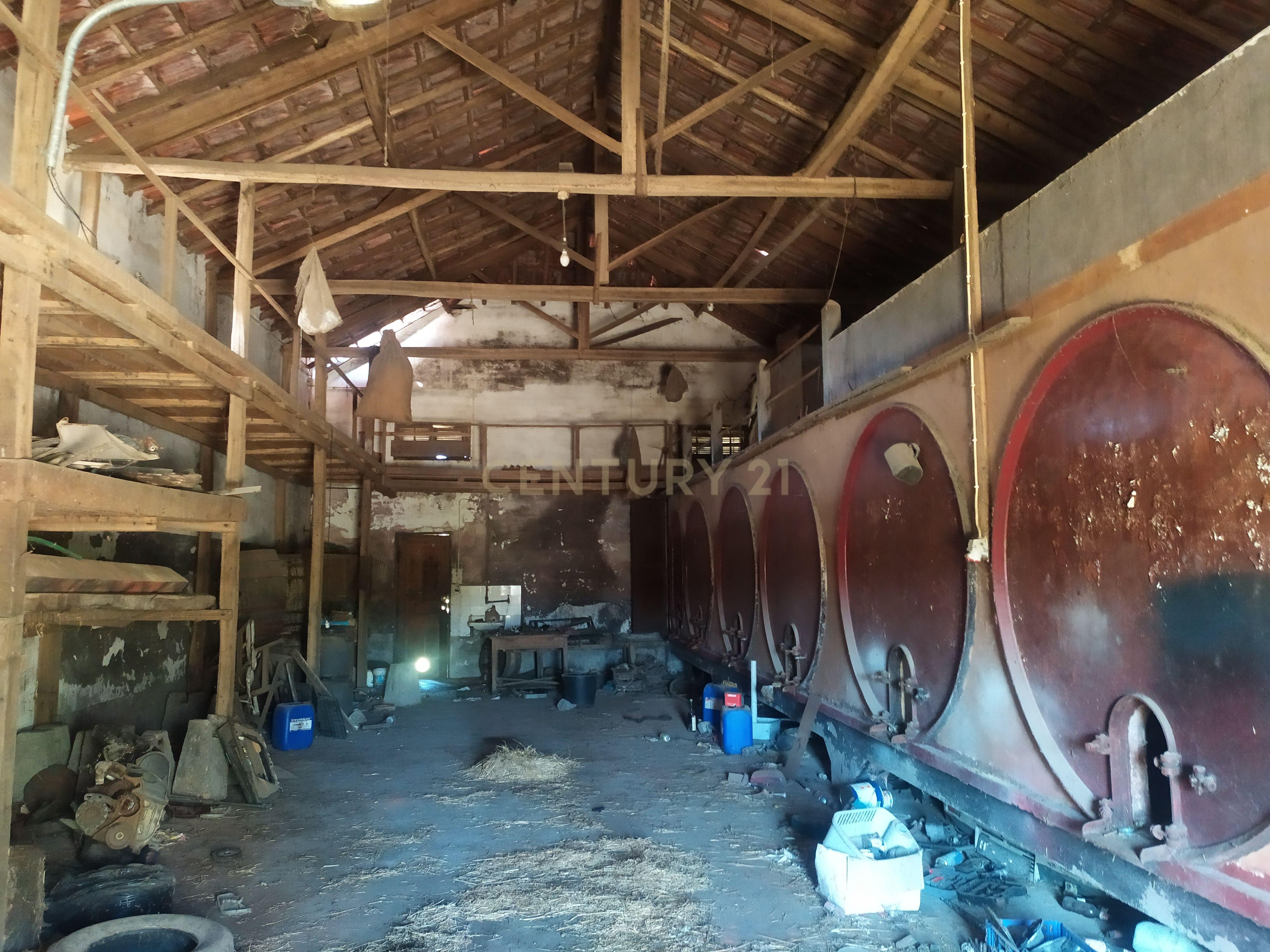 Imóvel para reconstrução em Colmeias, Leiria - Image 8