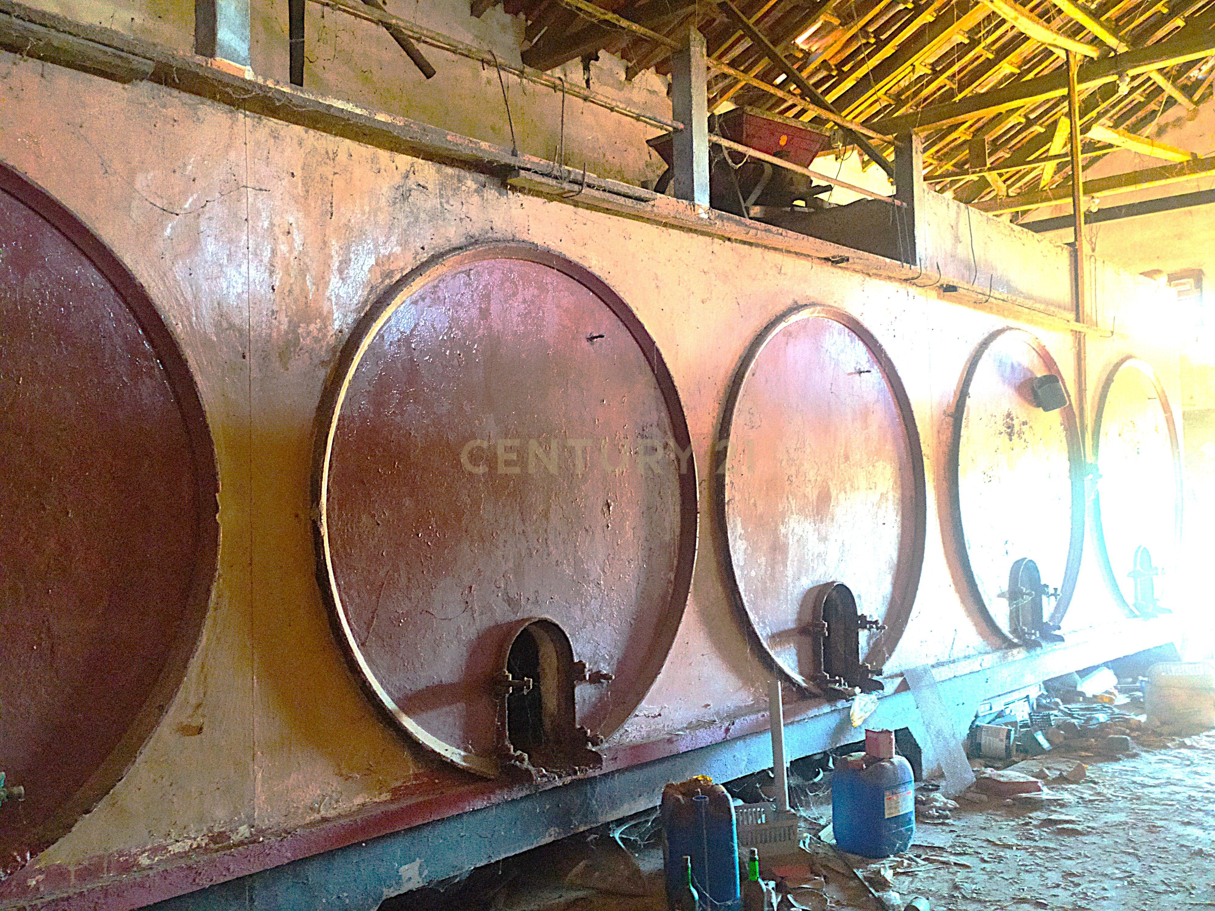 Imóvel para reconstrução em Colmeias, Leiria - Image 10