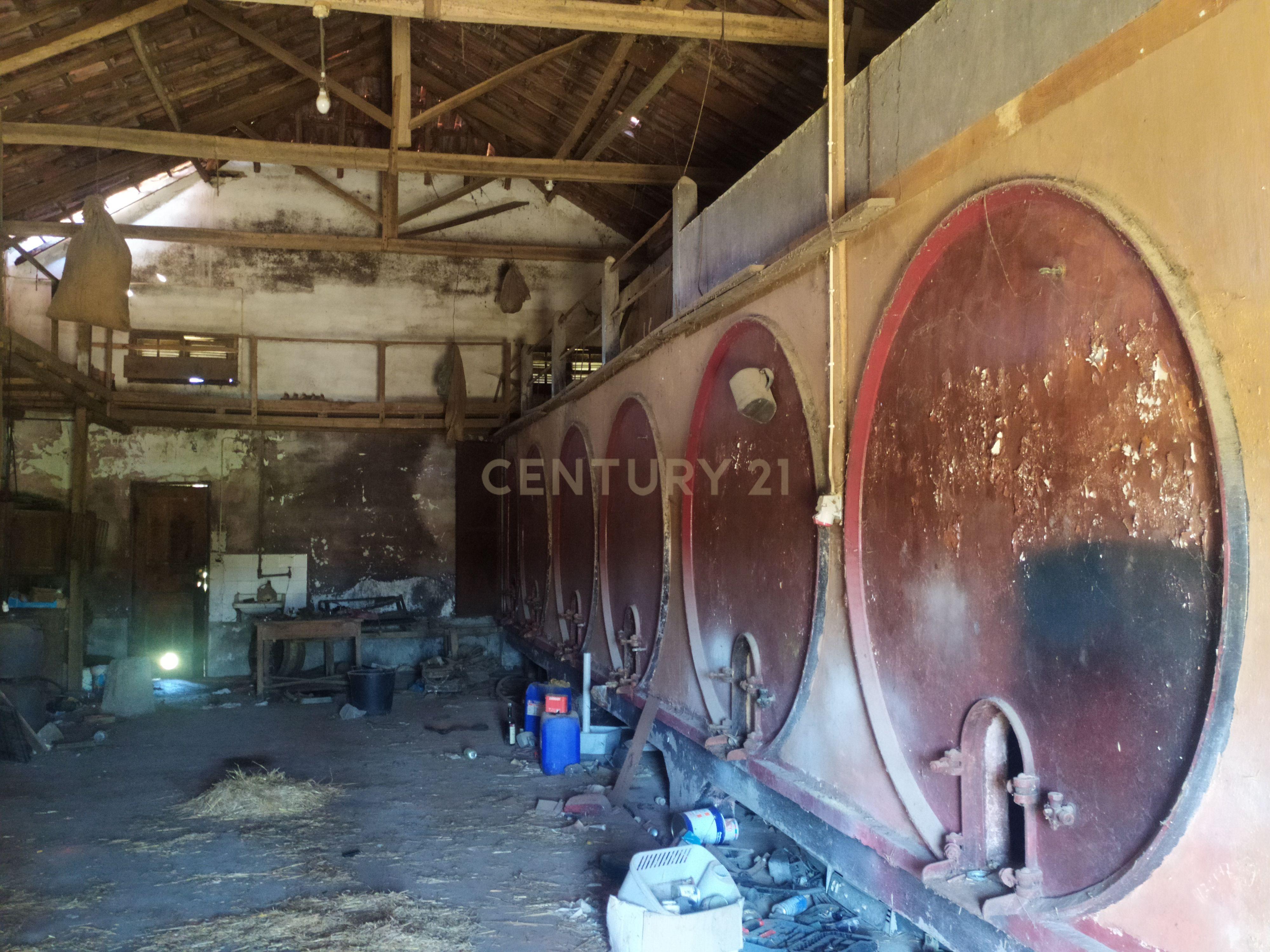 Imóvel para reconstrução em Colmeias, Leiria - Image 11