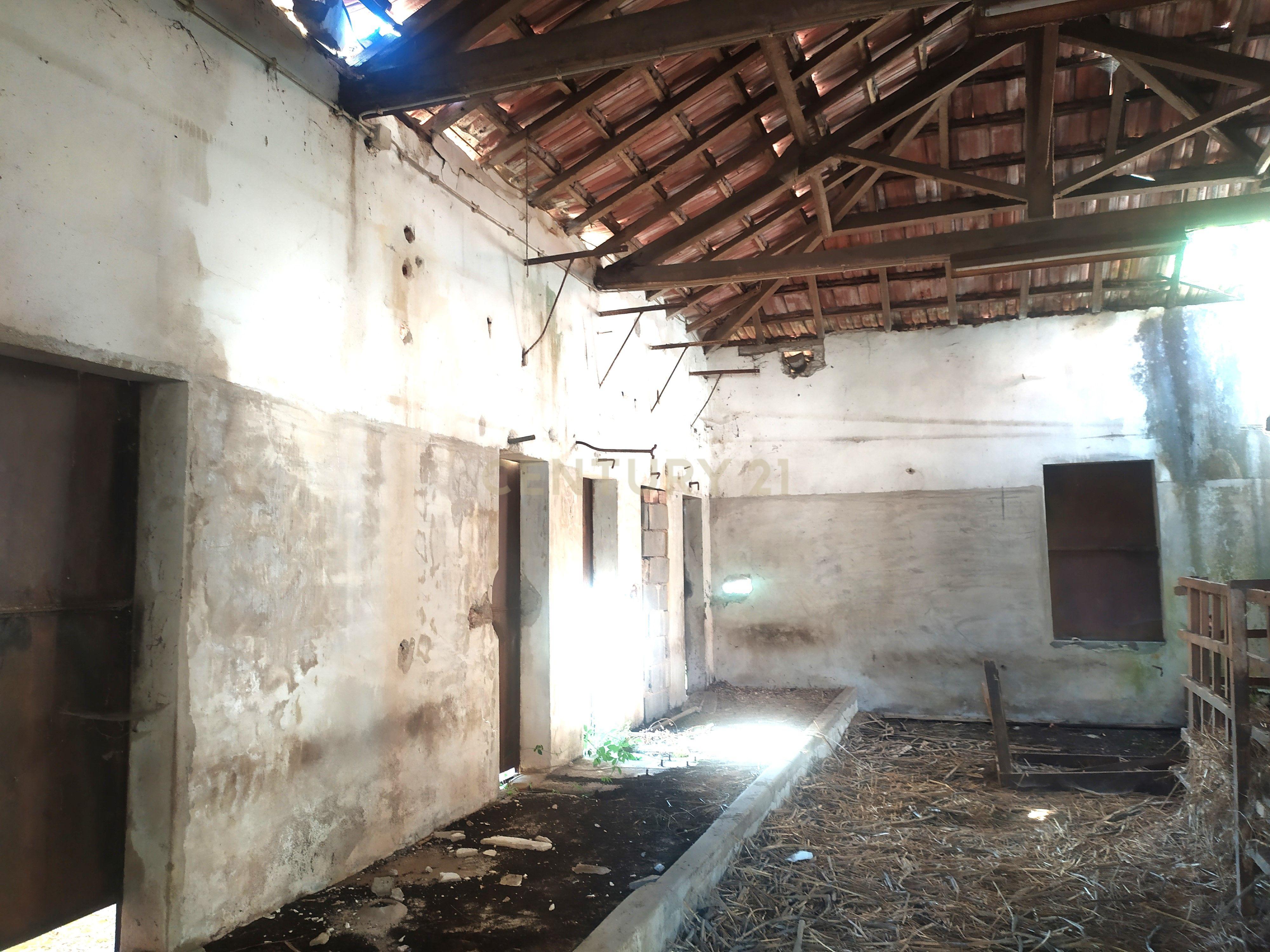 Imóvel para reconstrução em Colmeias, Leiria - Image 9
