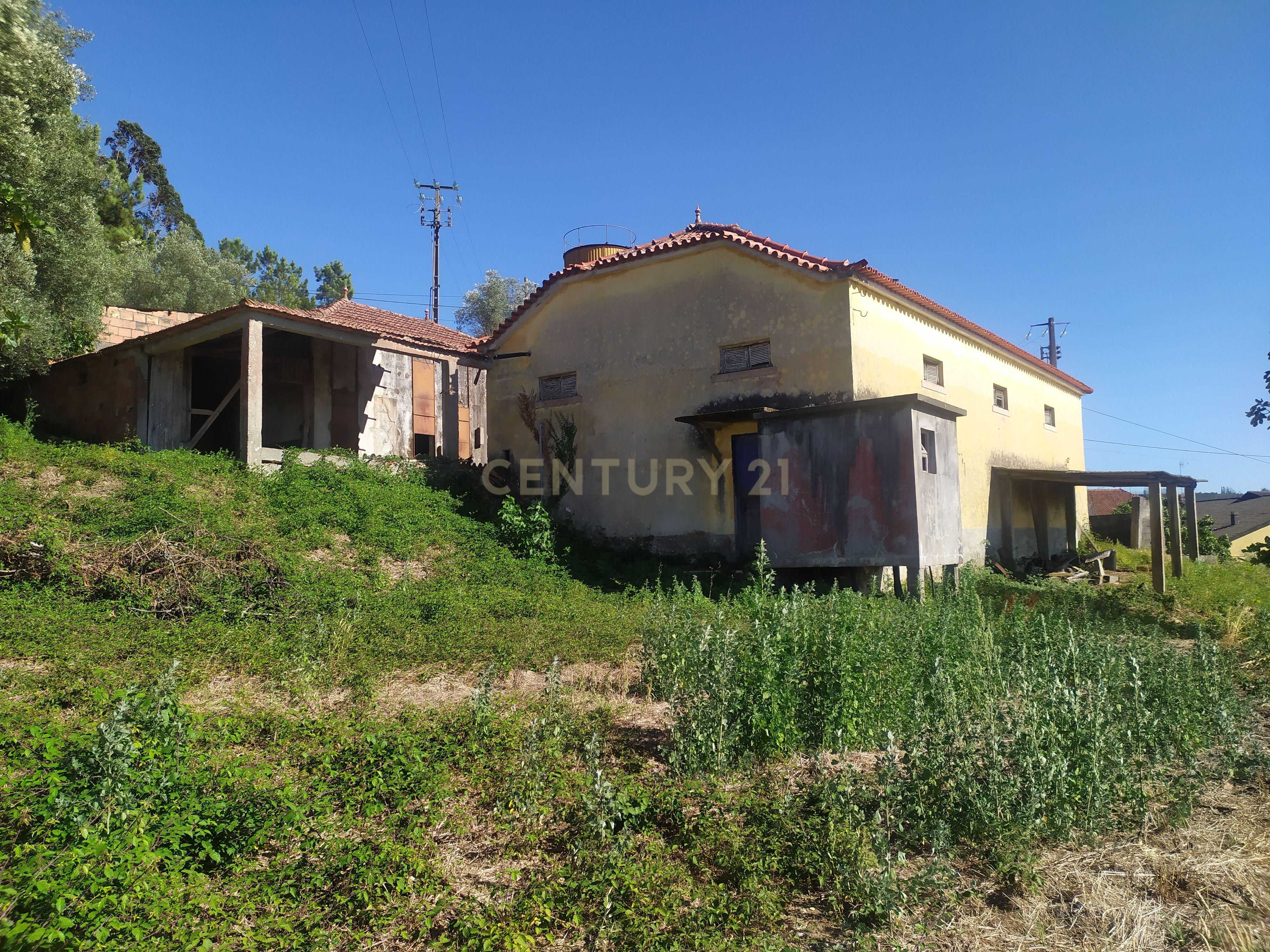 Imóvel para reconstrução em Colmeias, Leiria - Image 4
