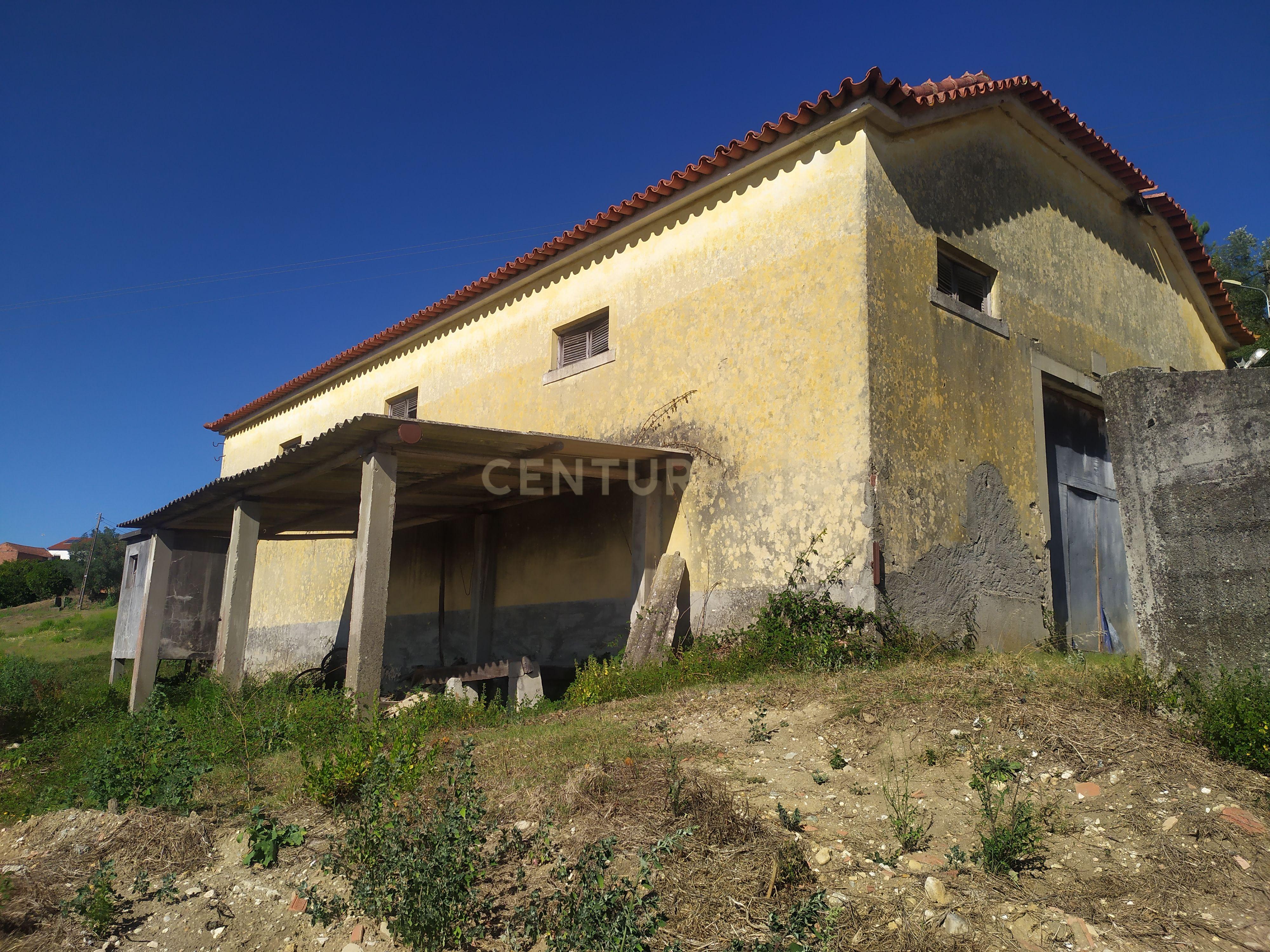 Imóvel para reconstrução em Colmeias, Leiria - Image 3