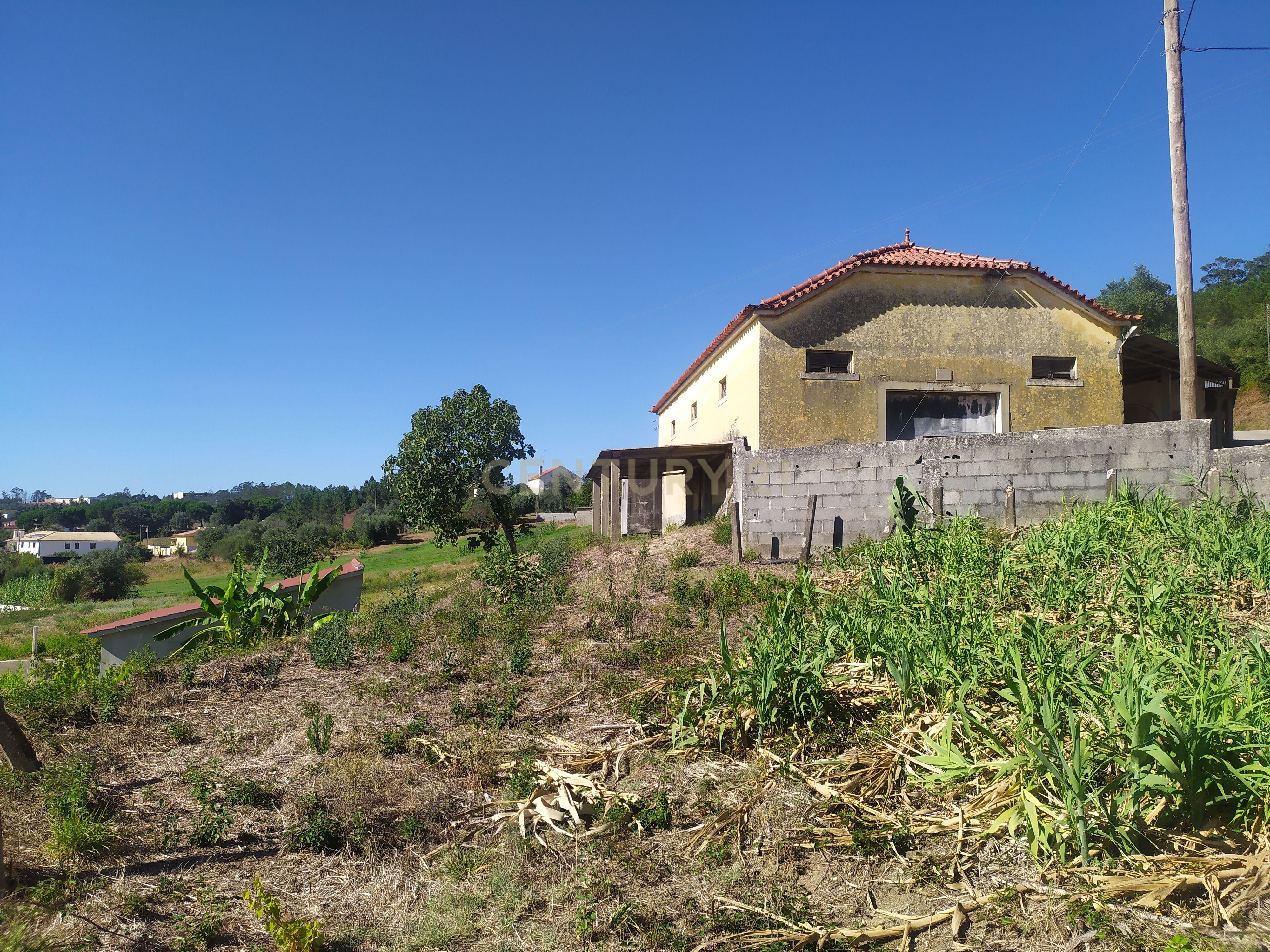 Imóvel para reconstrução em Colmeias, Leiria - Image 15