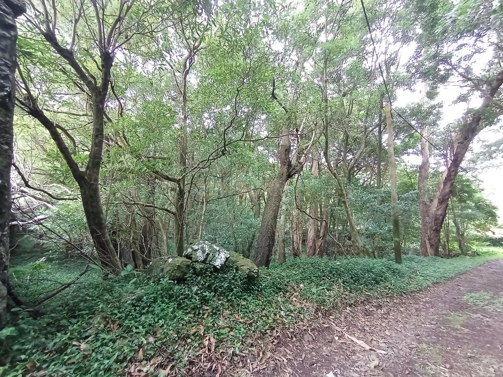 Terreno rústico com 6.534m2, ilha Graciosa - Image 2