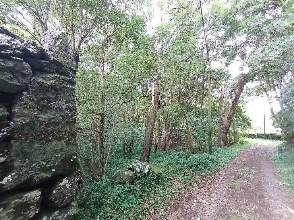 Terreno rústico com 6.534m2, ilha Graciosa - Image 3