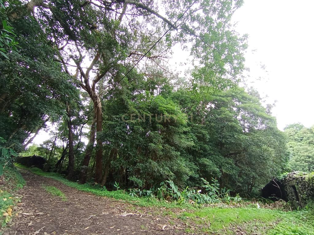 Terreno rústico com 6.534m2, ilha Graciosa - Image 1