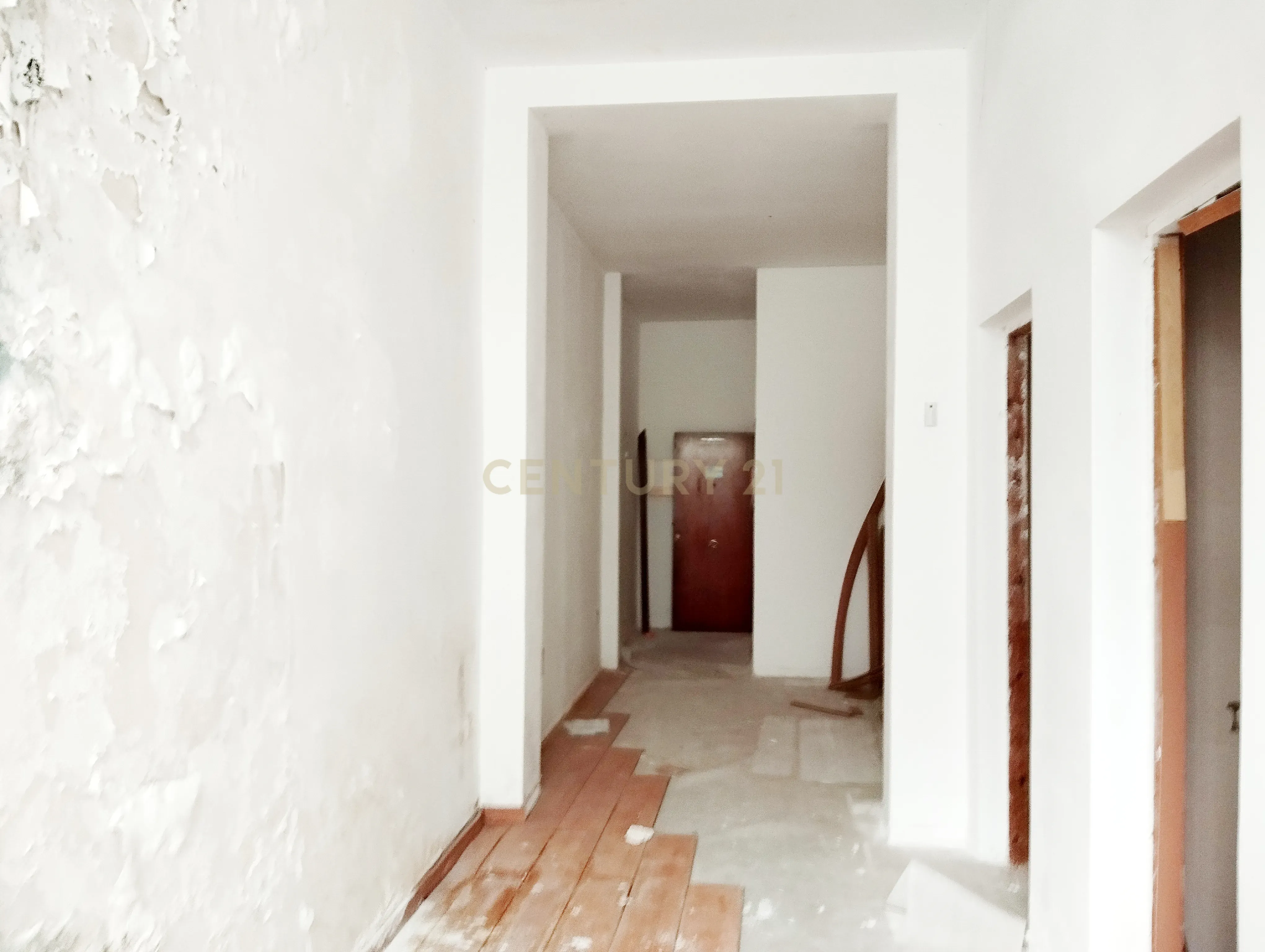 Loja - Image 22