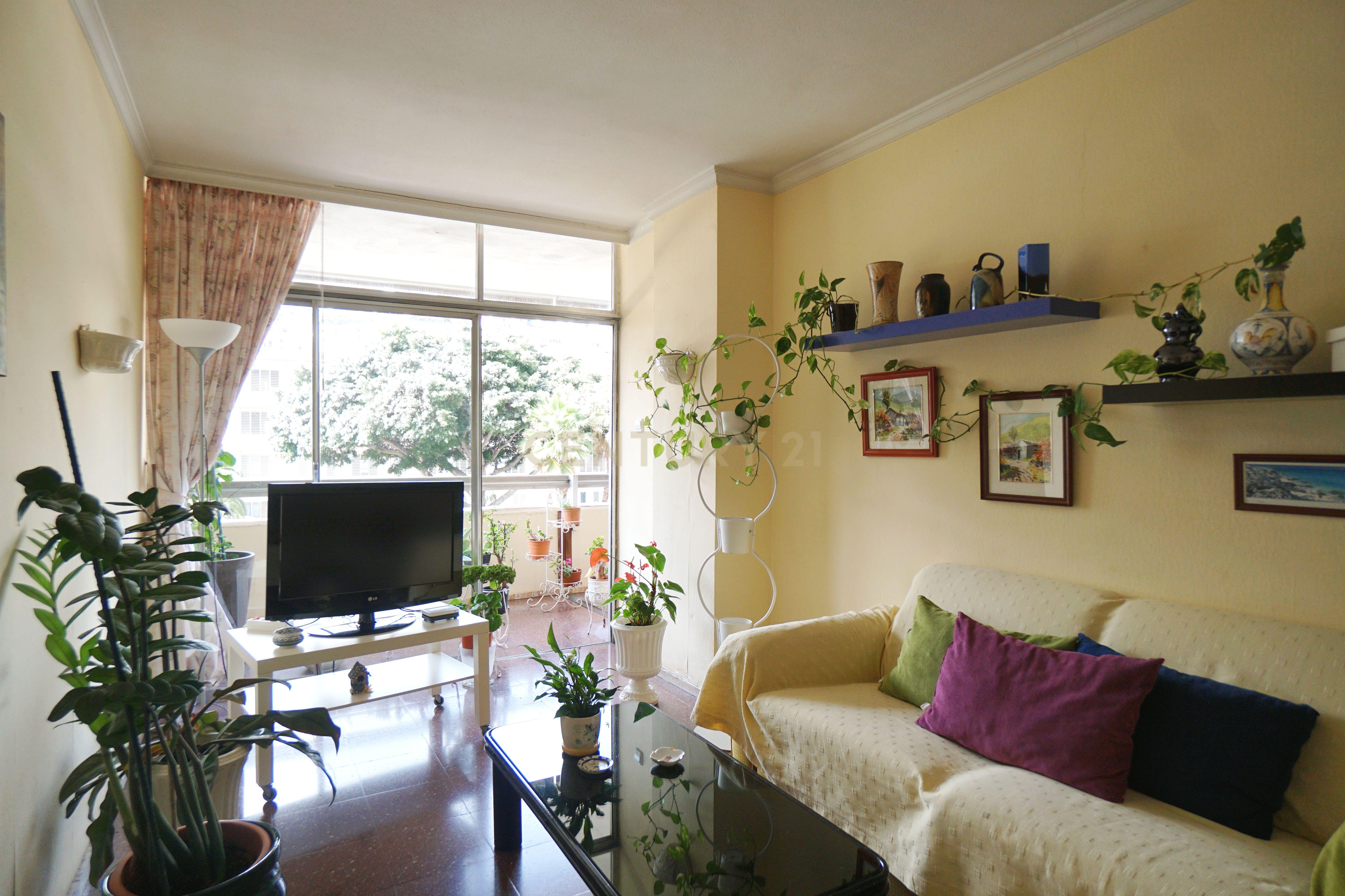 undefined - Image 4