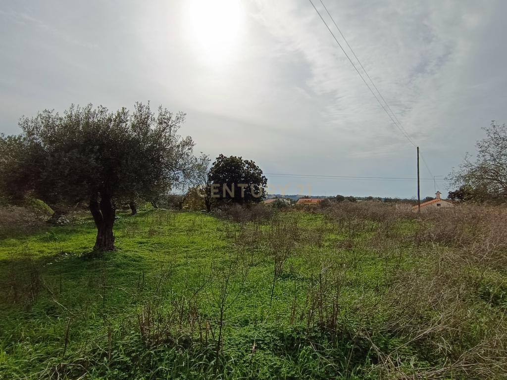 Quinta com moradias no centro de Loulé - Image 25