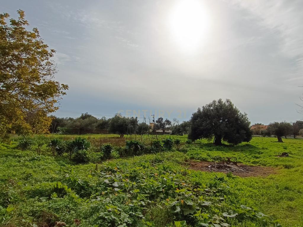 Quinta com moradias no centro de Loulé - Image 23