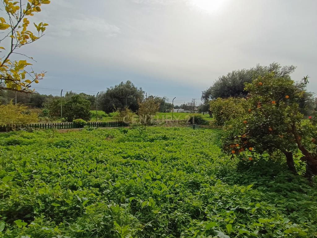 Quinta com moradias no centro de Loulé - Image 22