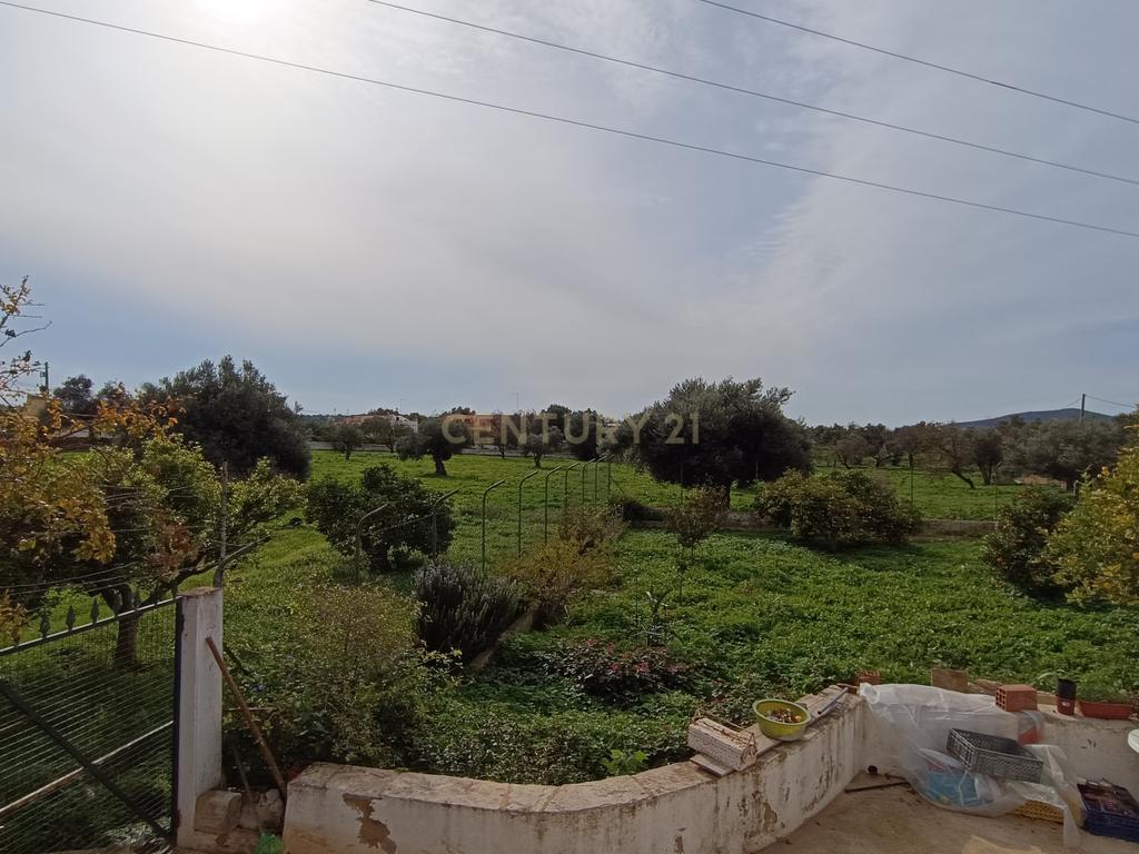 Quinta com moradias no centro de Loulé - Image 3