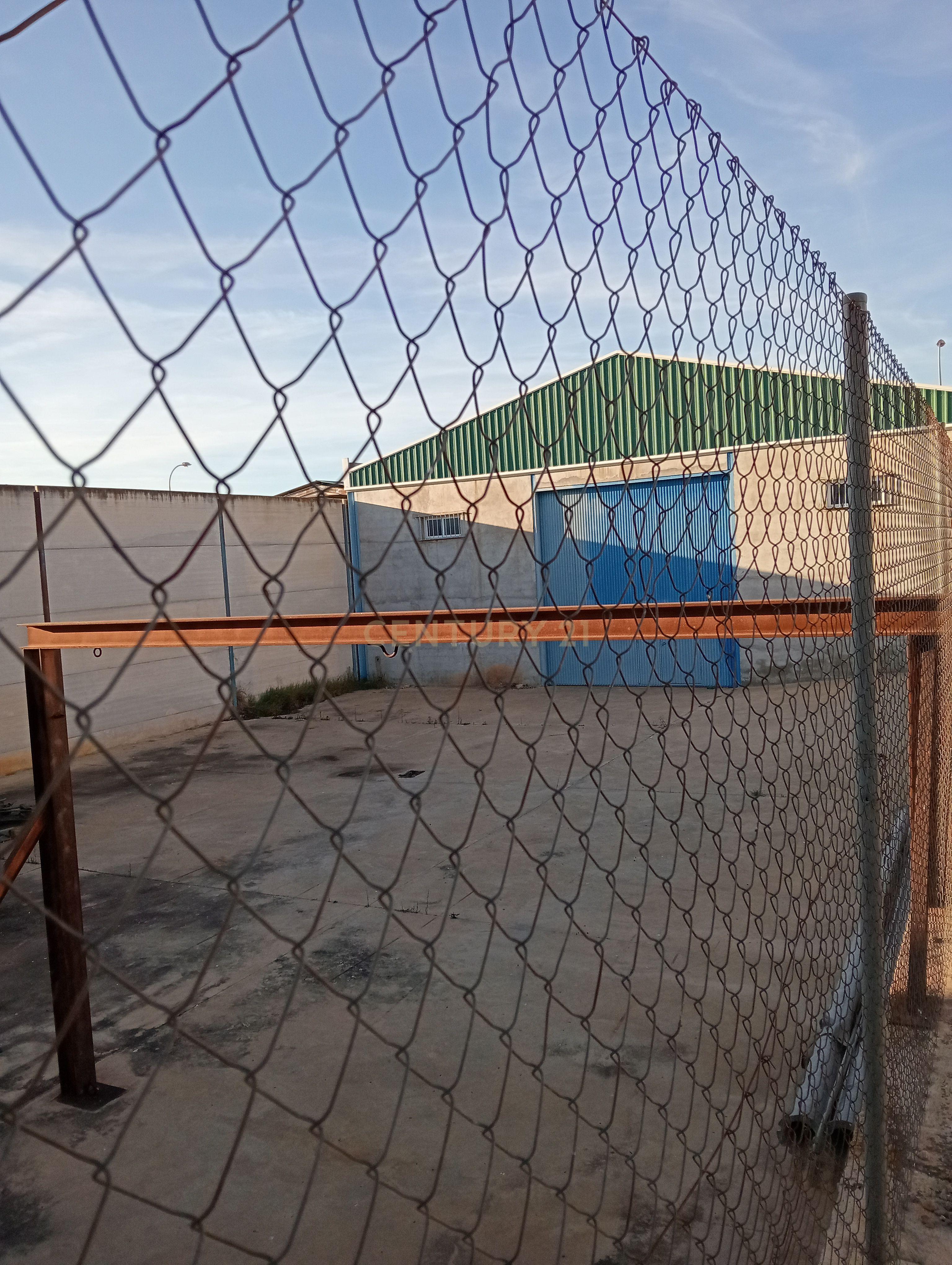 undefined - Image 12