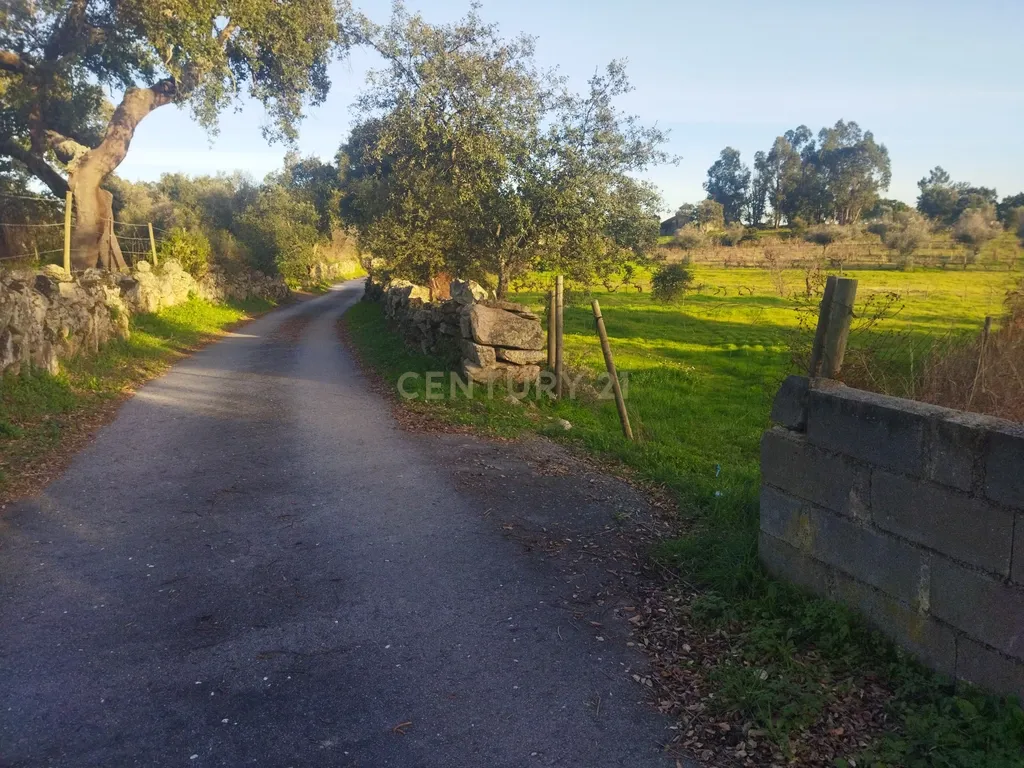 Terreno Rustico, Lousa, Castelo Branco - Image 2