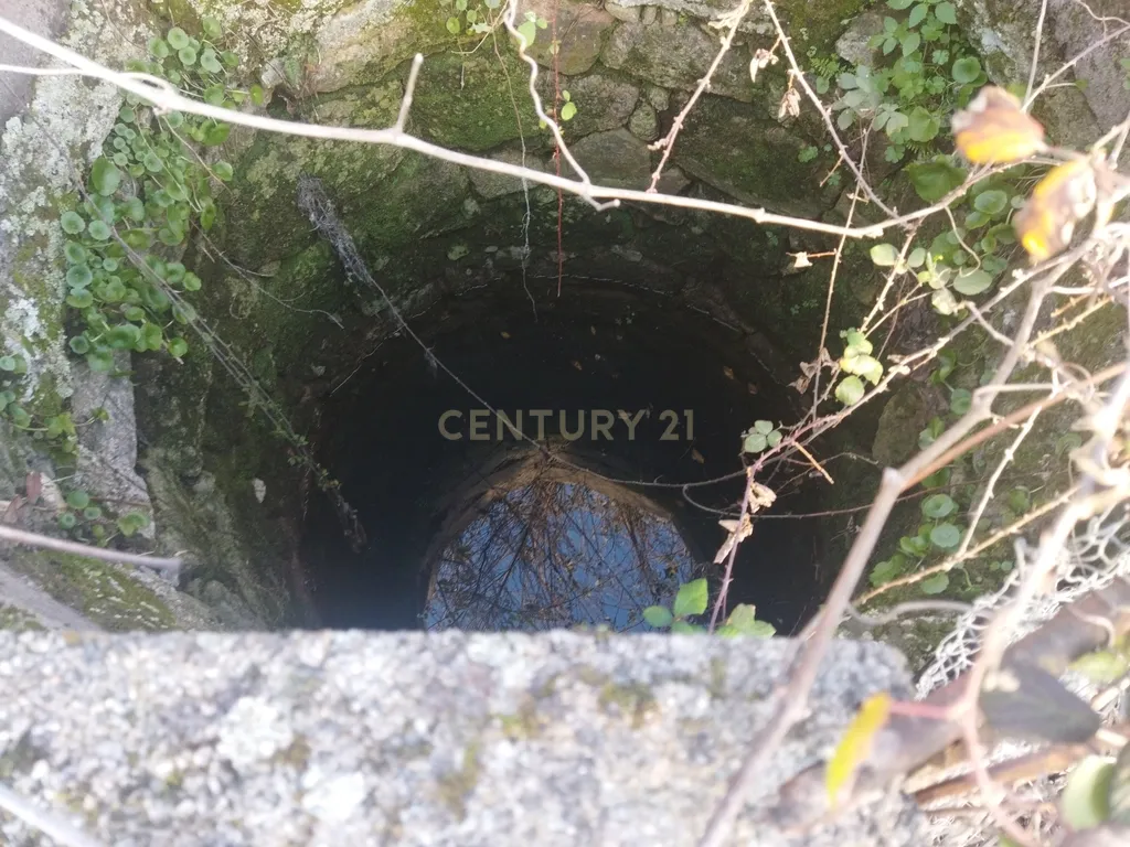 Terreno Rustico, Lousa, Castelo Branco - Image 6